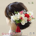 成人式 髪飾り 胡蝶蘭 七条 Gレッドグリーン ヘッドドレス プリザーブドフラワー かすみ草 結婚式 白無垢 和装 花嫁 和婚 神前式 造花【送料無料】K_0412g