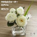 マジカルウォーター ローズ ホワイト エクリュ プレゼント 母の日 父の日 新築祝い お祝い お誕生日 結婚祝い 結婚記念日 送料無料 ma_0400b