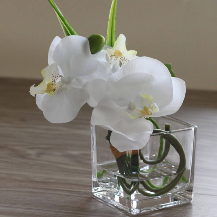 �ޥ����륦�������� 3������ �ץ쥼��� ����� ����� ���̲� ���ˤ� �������� �뺧�ˤ� �뺧��ǰ�� ����̵�� ma_0490_02