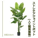 ストレリチアジョイントポット210cm 人工樹木 人工観葉植物 造花 インテリアグリーン 1553 玄関やリビングのインテリアに【送料無料】 GR_0051