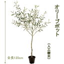 オリーブポット 120cm 人工樹木 人工観葉植物 造花 インテリアグリーン 1890 玄関やリビングのインテリアに【送料無料】 GR_0016