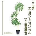 パキラエレガントスパイラル200cm 人工樹木 人工観葉植物 造花 インテリアグリーン 2256 玄関やリビングのインテリアに【送料無料】 GR_0058