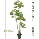 ウンベラ—タ 165cm 人工樹木 人工観葉植物 造花 インテリア グリーン 5227 玄関やリビングのインテリアに【送料無料】 GR_0003