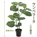 ウンベラ—タ 70cm 人工樹木 人工観葉植物 造花 インテリア グリーン 15100 玄関やリビングのインテリアに【送料無料】 GR_0022