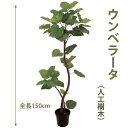 ウンベラ—タ 150cm 人工樹木 人工観葉植物 造花 インテリア グリーン 5229 玄関やリビングのインテリアに【送料無料】 GR_0020