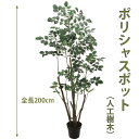 ポリシャスポット 200cm 人工樹木 人工観葉植物 造花 インテリアグリーン 88208 玄関やリビングのインテリアに【送料無料】 GR_0032