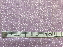 パッチワーク 生地 USACOTTON 薄い紫:数量1=10cm