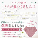 締めつけない ショーツ オーガニックコットン 綿100％ ふんどしパンツ 女性用 女性用ふんどし 鼠径部 締め付けゼロ ふんどしショーツ ショーツ コットン レディース 大きいサイズ 日本製 リニューアル 3