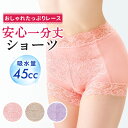 【最大5％OFFクーポン☆毎月18日はミセスエールの日 4/18 0:00～23:59】 失禁パンツ 女性用 尿漏れパンツ おしゃれ 失禁ショーツ かわいい【おしゃれたっぷりレース　安心一分丈ショーツ】 (1枚) パンツ 吸水 セット 締め付けない ショーツ 深ばきの商品画像