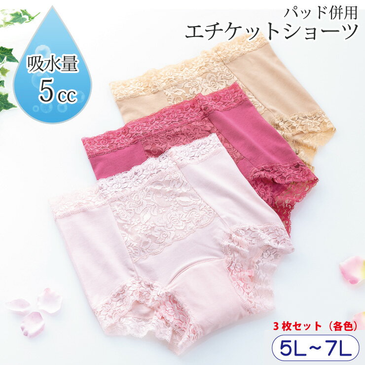 【最大5％OFFクーポン☆毎月18日はミセスエールの日 5/18 0:00～23:59】 3枚セット 失禁ショーツ 女性用 尿漏れパンツ…