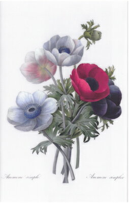 【クリアファイル】ルドゥーテ レ・ローズ 三つ折ミニクリアファイル (1枚入り) アネモネ P004-06