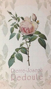 【便箋】ルドゥテローズ レターパッド /フレグランス(ピンク)3絵柄便箋