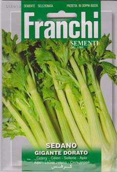 【イタリアの野菜の種】FRANCHI社　セルリー124/19【固定種】セロリ