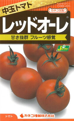 NEW【カネコ種苗の野菜の種】 トマト レッドオーレ中玉 甘さ抜群 フルーツトマト