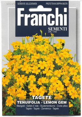 【イタリアの草花の種】FRANCHI社 マリーゴールド ビロード レモンの宝石 発芽適温：20-25℃気温が20℃を超える日が続くようになってから種まきをしてください 