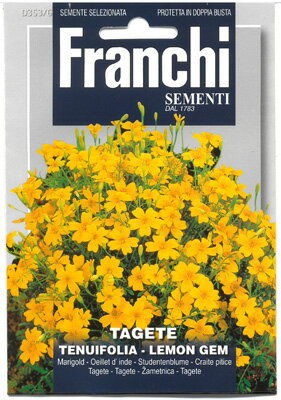 Rakuten - 【イタリアの草花の種】FRANCHI社　マリーゴールド　ビロード　レモンの宝石《固定種》353/6　※発芽適温：20-25℃気温が20℃を超える日が続くようになってから種まきをしてください。