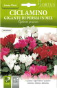 【イタリアの草花の種】Hortus社 シクラメン (1~3粒)COD.BGFCIL001