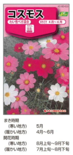 Rakuten - 【カネコ種苗の花の種】コスモス　まきどき　4月～6月