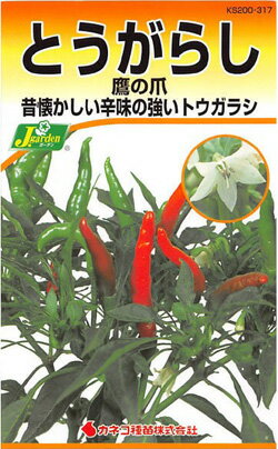 Rakuten - NEW【カネコ種苗の野菜の種】とうがらし　鷹の爪　No.317 昔懐かしい辛味の強いトウガラシ