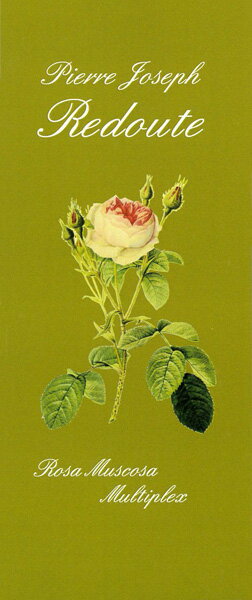 【一筆箋】 ルドゥーテ 一筆箋 《ロサ・ムスコサ・ムルティプレックス》一柄40枚綴り 縦書きにも横書きにもご利用いただけます。