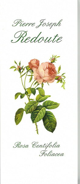 ڰɮ䵡 ɥ ɮ ԥƥեꥢեꥢհ40֤ꡡĽ񤭤ˤⲣ񤭤ˤ⤴Ѥޤ