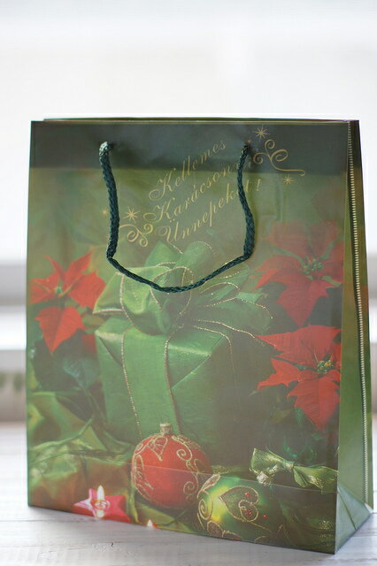 【クリスマス】PPバッグ Mサイズ (1枚) グリーン