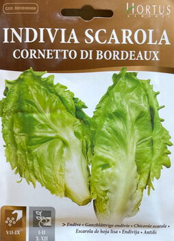 【イタリアの野菜の種】Hortus社 エンダイブ・ボルドー《固定種》[COD.BSOENS008]