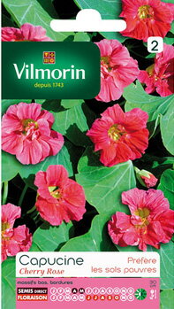 Vilmorin社　ナスタチューム　エディブルフラワー ・チェリーピンク　八重の花びらのナスタチウム　Cherry Rose V-115F　無農薬で栽培して食用として・・・