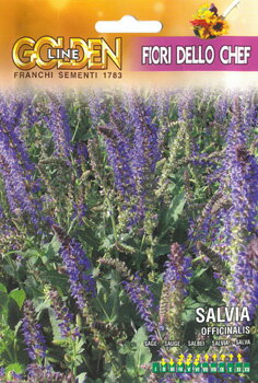 FRANCHI社《GL》エディブルフラワー・セージ-SALVIA officinalis