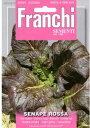 【イタリアの野菜の種】FRANCHI社　レッドマスタード　3006/2