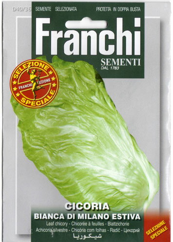 　FRANCHI社スペシャルセレクション　チコリー・BIANCA DI MILANO ESTIVA　ミラノホワイトサマー　