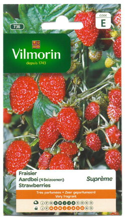 Vilmorin社　四季なりイチゴDES4　SAISONS・Supremeストロベリーいちごの種