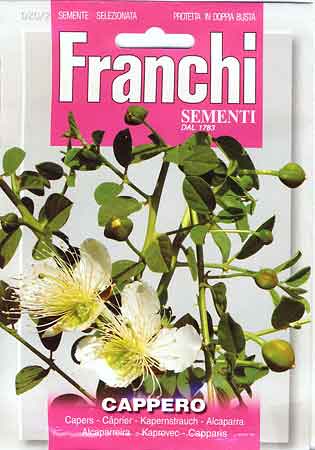 【イタリアのハーブの種】FRANCHI社 ケッパー20/2 可愛い花が観賞用にもピッタリです。