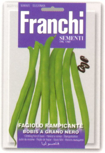 秋季蔬菜 - 【イタリアの野菜の種】　FRANCHI社　ツルありインゲン・BOBIS NERO　黒粒