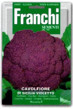 ڥꥢڤμFRANCHIҡե ХåȥꥢDI SICILIA VIOLETTOFRANCHIҡ30...