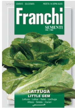 【イタリアの野菜の種】FRANCHI社　ミニロメイン・LITTLE GEM【固定種】79/38