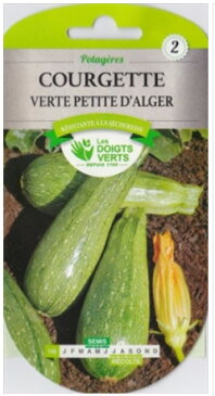 【フランスの野菜の種】　CATROS社　ズッキーニ・Verte d'Alger　148