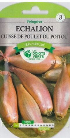 【フランスの野菜の種】CATROS社 エシャロット　　154