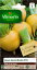 【フランス野菜の種】Vilmorin社　ターニップ　カブ　Jaune Boule d`Or 黄金色のボール 　v-633