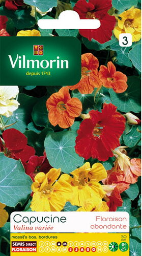 Vilmorin社　ナスタチューム　エディブルフラワー　ナスタチウム・Valina variee V-120F　無農薬で栽培して食用として・・・