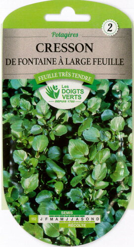 【フランスの野菜の種】CATROS社　クレソン・ a Large Feuille 152