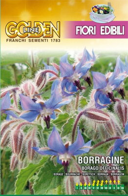 FRANCHI社《GL》エディブルフラワー・ボリジ　BORAGO OFFICINALIS[GLFE　16/3