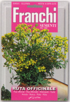 【イタリアのハーブの種】FRANCHI社　ルー・ヘンルーダ117/1《固定種》（ピンクラベル）　**食用しない..