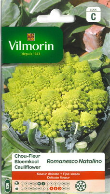 ڥեڤμVilmorinҡեޥͥRomanesco Natalino-ڸV-839