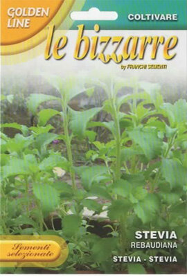 【イタリアのハーブの種】FRANCHI社《GL》ステビア 126/20 たいへん高価な種子です。種子量:約3～8粒※小さな種です。袋の中をよくご確認ください。