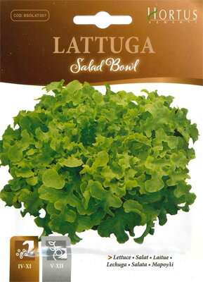 【イタリアの野菜の種】Hortus社　レタス（ラトゥーガ）・サラダボウル《固定種》BSOLAT307