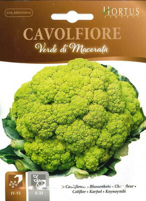 ڥꥢڤμHortus եޥ顼 190/̽1.4-1.6kg ڸCVF016