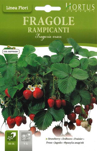 【イタリアの果菜の種】Hortus社　イチゴ　アルパインストロベリー　COD.BGFFRA001