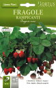 【イタリアの果菜の種】Hortus社 イチゴ アルパインストロベリー COD.BGFFRA001