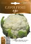 【イタリアの野菜の種】Hortus社 カリフラワー・ディ ジェジィ【140日・早生/果重1.6-1.8Kg】【固定種】 BSOCVF010 605円